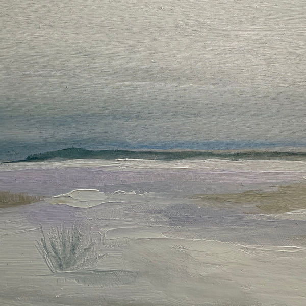 Winter Dream