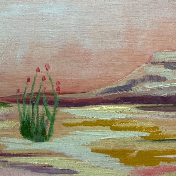 Ocotillo Dreams