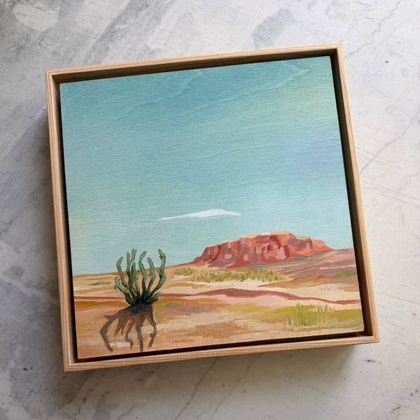 Cholla Dreams