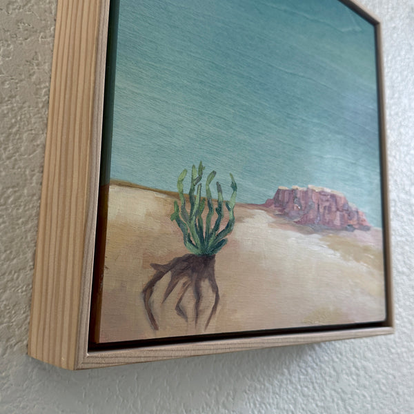 Cholla Dreams