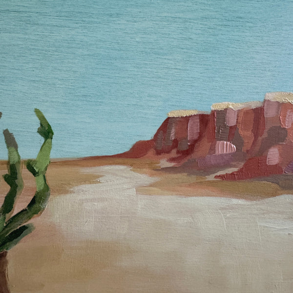 Cholla Dreams