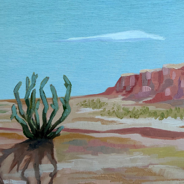 Cholla Dreams