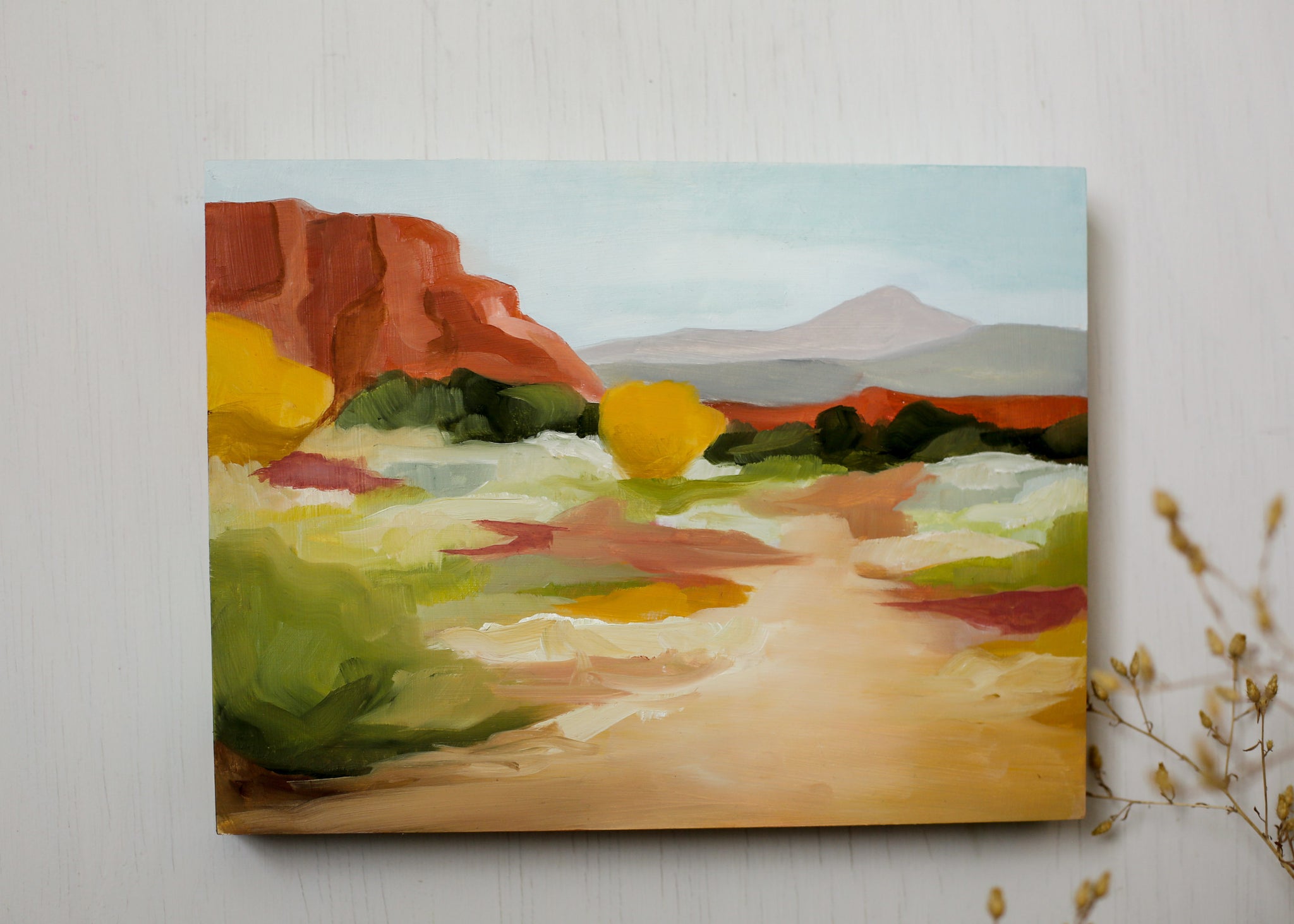 Desert Study